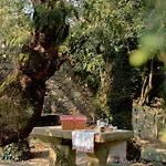 Casa Do Santo - Wine & Tourism Alojamento de Turismo Rural