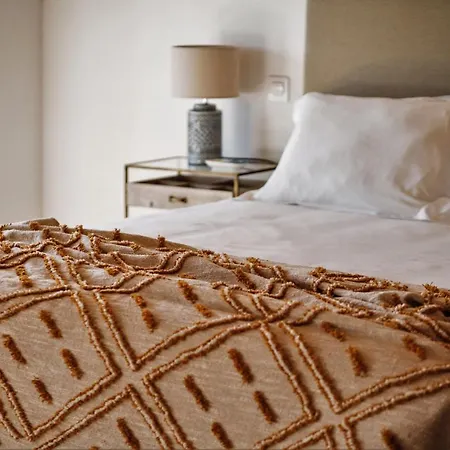 Casa Do Santo - Wine & Tourism Farma Provesende