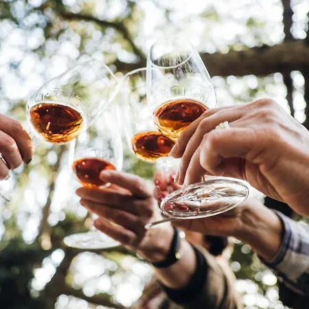 Casa Do Santo - Wine & Tourism Κατάλυμα σε φάρμα