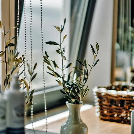 Casa Do Santo - Wine & Tourism