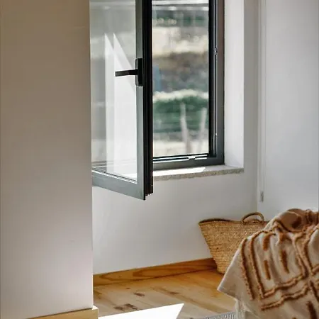 Casa Do Santo - Wine & Tourism Farma Provesende