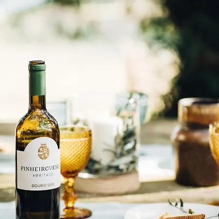Casa Do Santo - Wine & Tourism Farm stay