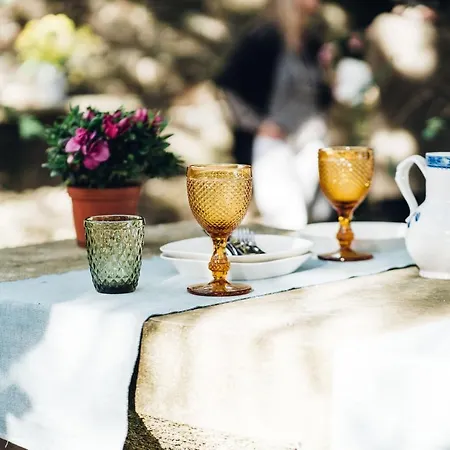 Casa Do Santo - Wine & Tourism Vakantieboerderij *
