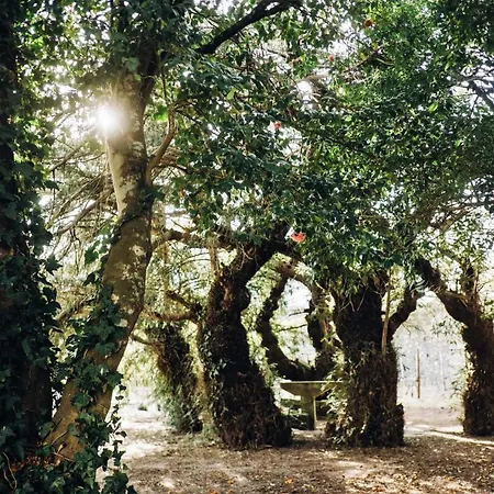 Farma Casa Do Santo - Wine & Tourism *