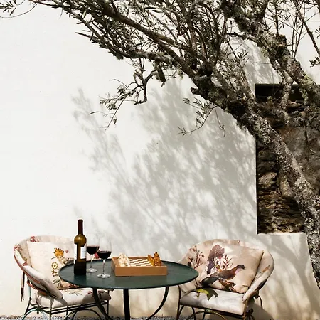 Casa Do Santo - Wine & Tourism בית חווה