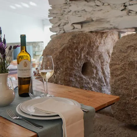 Casa Do Santo - Wine & Tourism בית חווה Provesende