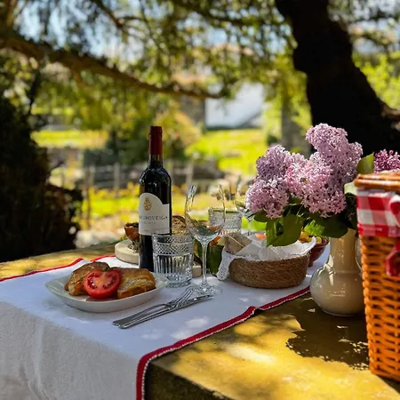 Casa Do Santo - Wine & Tourism * Provesende