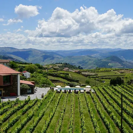 בית חווה Casa Do Santo - Wine & Tourism Provesende