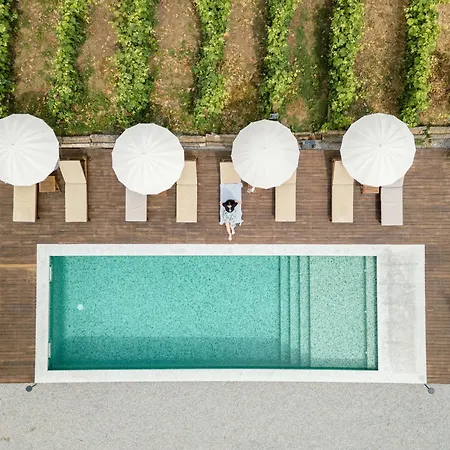 Casa Do Santo - Wine & Tourism ファームステイ Provesende