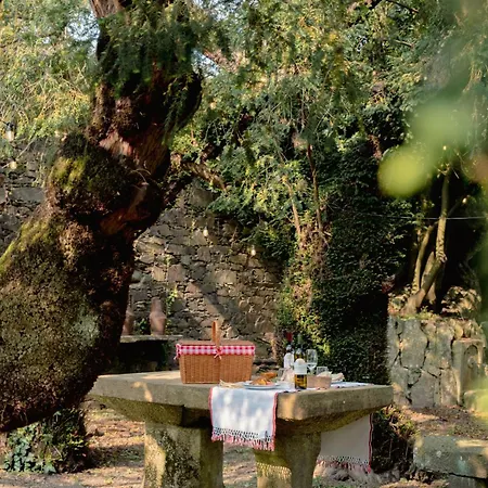 Casa Do Santo - Wine & Tourism בית חווה