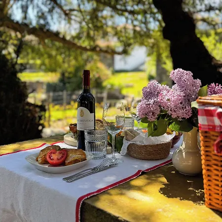 Agroturismo Casa Do Santo - Wine & Tourism