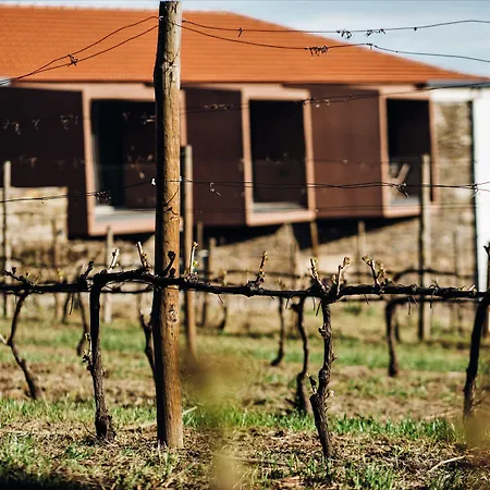 Casa Do Santo - Wine & Tourism Agroturismo *