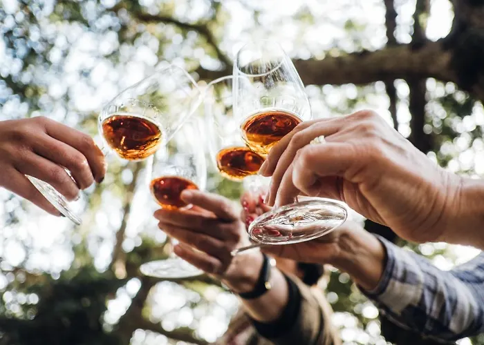 Casa Do Santo - Wine & Tourism Agroturismo