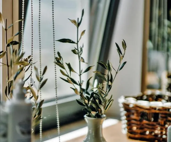 Casa Do Santo - Wine & Tourism