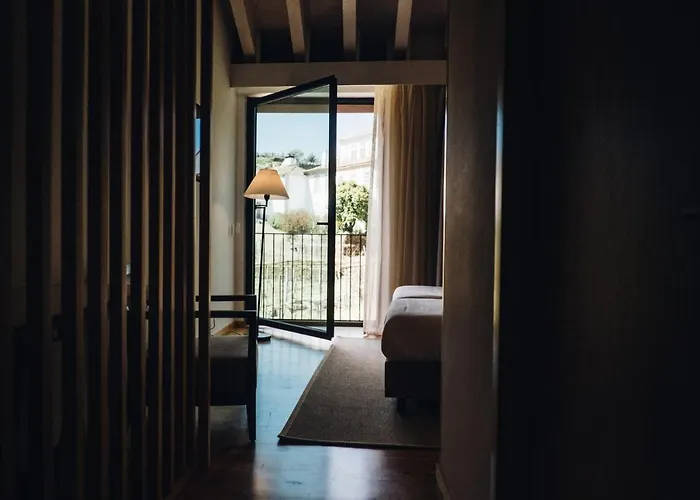 Casa Do Santo - Wine & Tourism ファームステイ