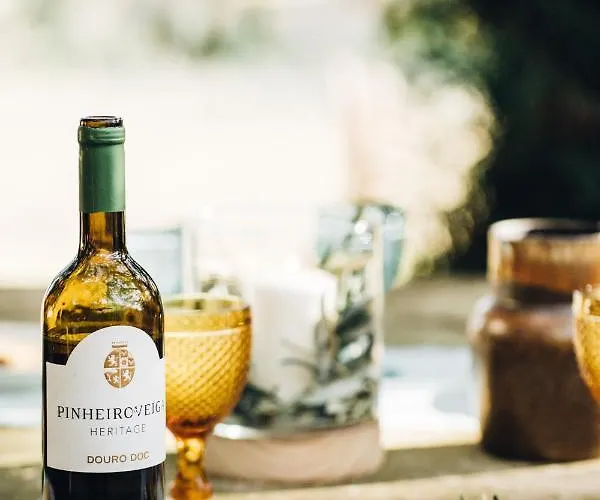 Casa Do Santo - Wine & Tourism ファームステイ