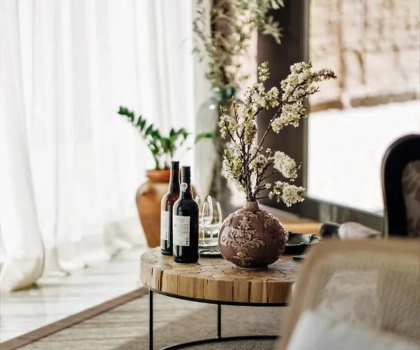 Casa Do Santo - Wine & Tourism Agroturismo Provesende