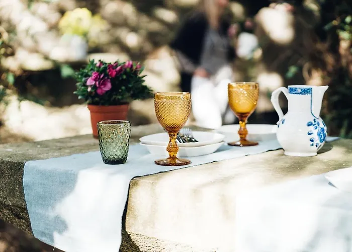 Casa Do Santo - Wine & Tourism ファームステイ *