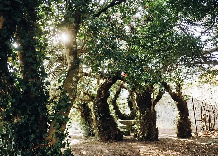 ファームステイ Casa Do Santo - Wine & Tourism *