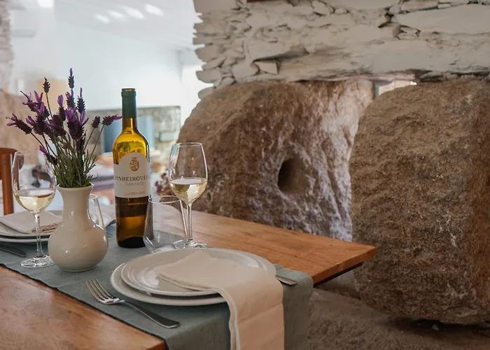 Casa Do Santo - Wine & Tourism Alojamento de Turismo Rural Provesende