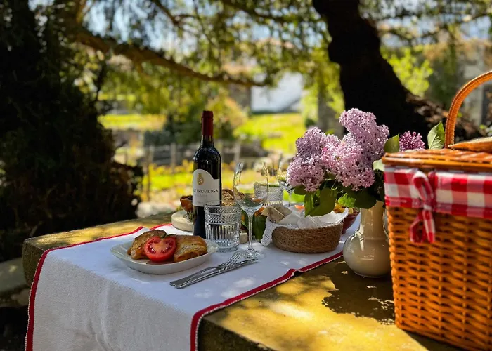 Casa Do Santo - Wine & Tourism * Provesende