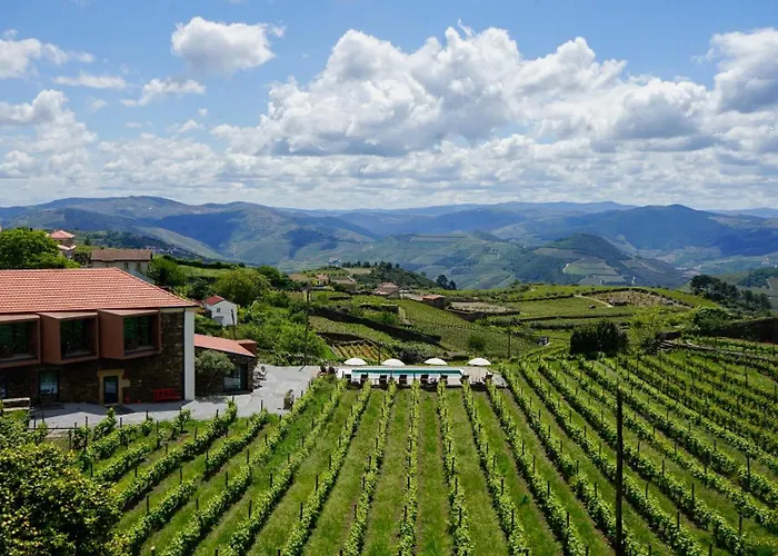 Alojamento de Turismo Rural Casa Do Santo - Wine & Tourism Provesende