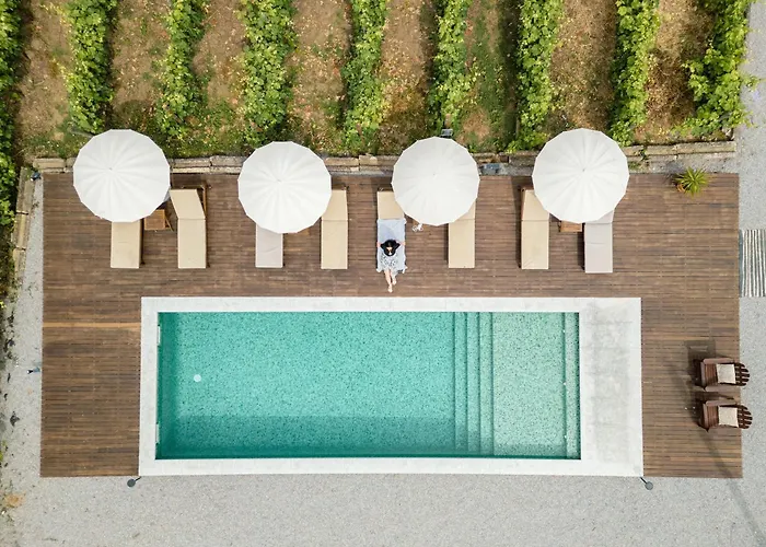 Casa Do Santo - Wine & Tourism ファームステイ Provesende