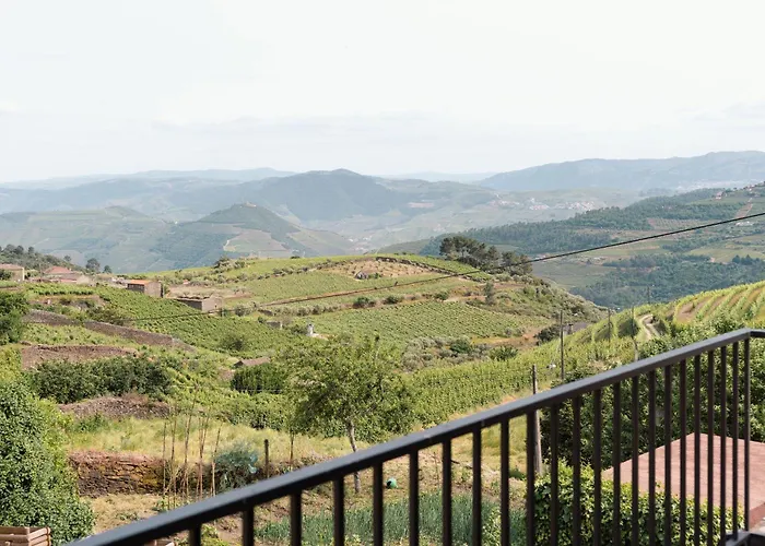 Casa Do Santo - Wine & Tourism * Provesende