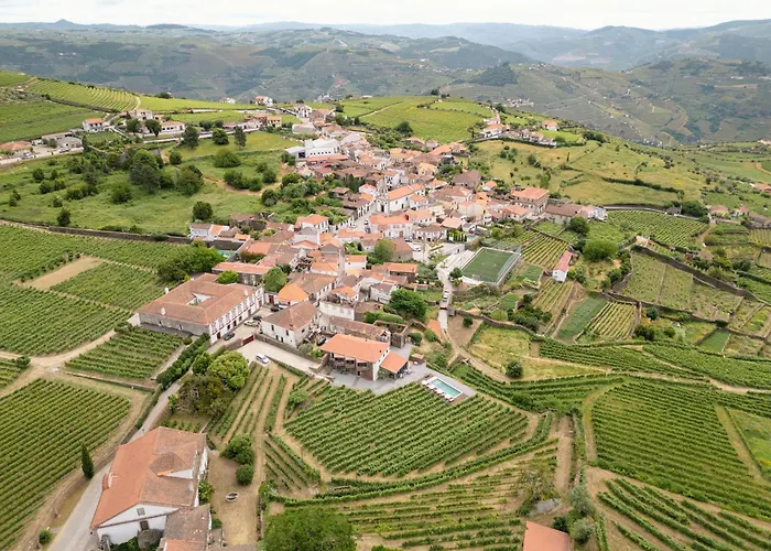 ファームステイ Casa Do Santo - Wine & Tourism Provesende