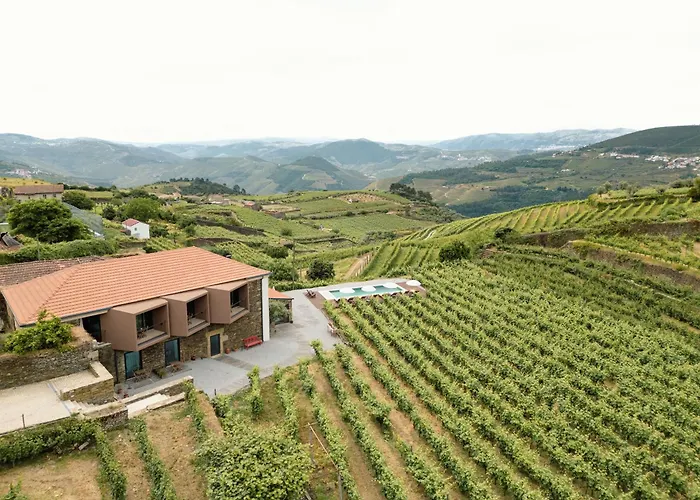 Casa Do Santo - Wine & Tourism Provesende