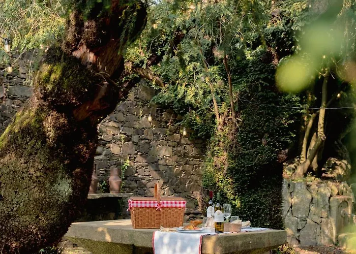 Casa Do Santo - Wine & Tourism Agroturismo